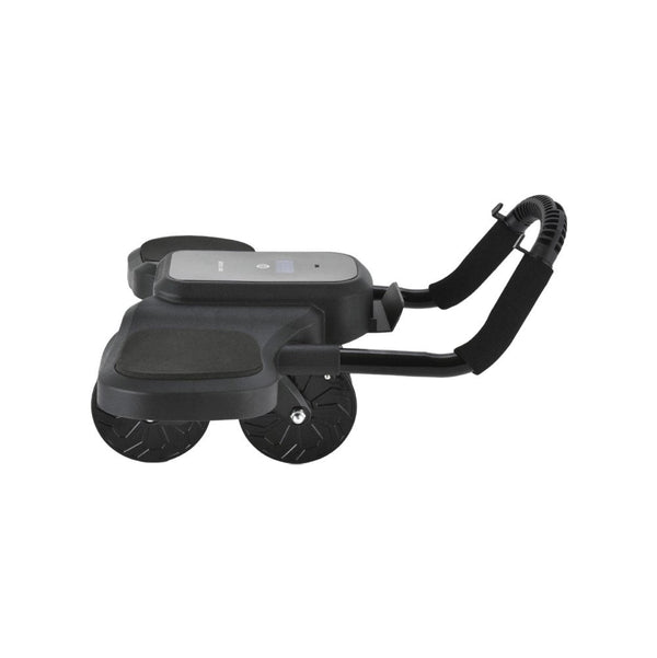 Green Lion ABS Exercise Roller